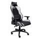 Крісло Trust GXT714W Ruya ECO, ПУ шкіра, 3D-Armrests, білий 25065_TRUST фото 1