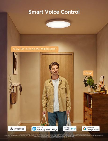 Потолочний світильник Govee 12" Smart Ceiling Light, RGBWW + RGBIC, WI-FI/Bluetooth, білий H80A1C01 фото