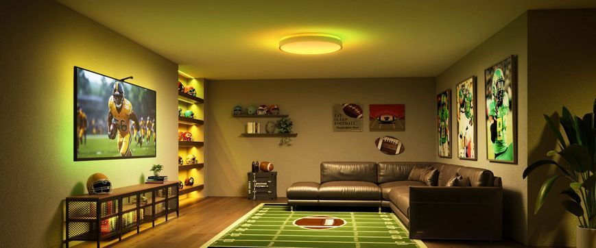 Потолочний світильник Govee 38cm Smart Ceiling Light Pro, RGBICWW, WI-FI/Bluetooth, білий H60A6C01 фото